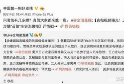 卓伟爆料都是真的吗视频,真相与谣言的交织
