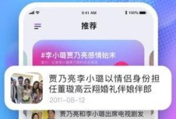 娱乐吃瓜酱测酒量视频下载,揭秘酒量极限挑战