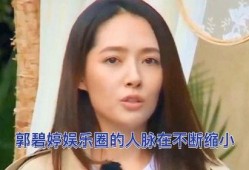 娱乐圈深度爆料郭碧婷,背后故事与真实人生