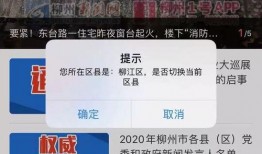 今日菜价爆料新闻视频播放,今日菜价揭秘，视频曝光市场动态