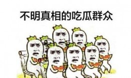 吃瓜群众免费教程视频大全,免费教程视频大全攻略解析